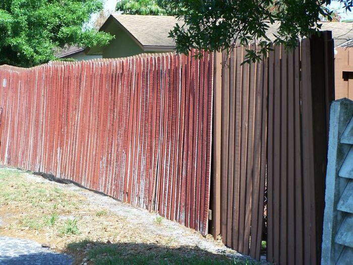 My parents have an extremely nosey neighbour who would just stand at the fence and watch what we do. I mean with her nose resting on the top of the fence. This woman is 60s with kids and grandkids. I found out the other day my dad was in the garden with a shovel. Turns out he throws the slugs and snails in their trampoline and on their veggie plot for being annoying every time they aren’t there. I couldn’t stop laughing at how petty and hilarious this was. Still makes my day.