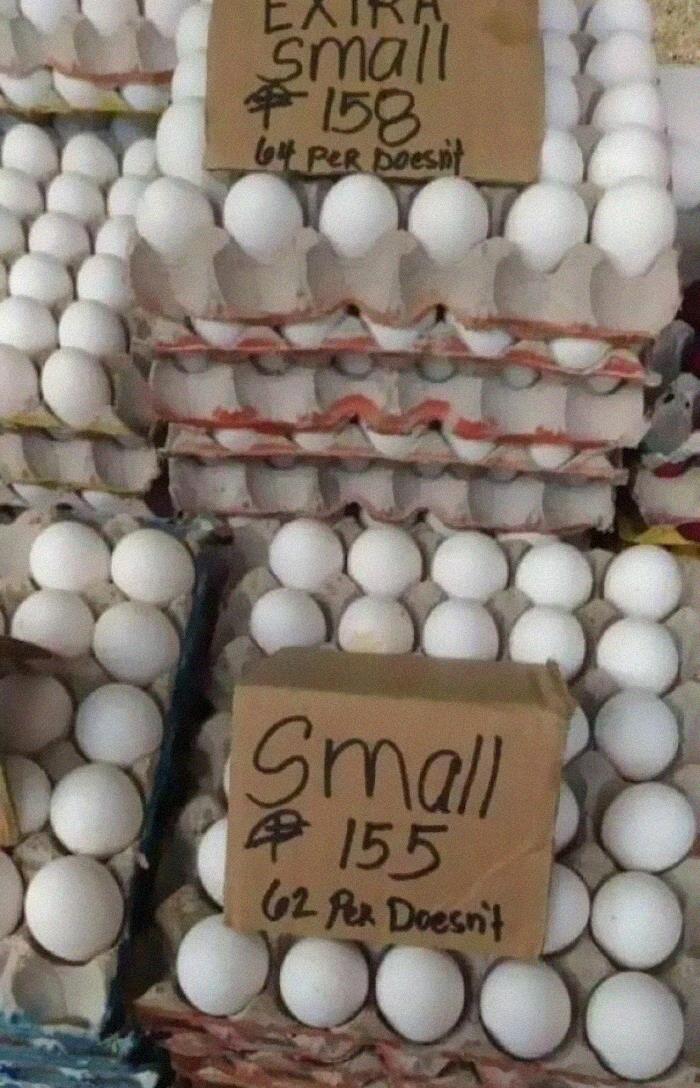 egg - Small 158 b Per poest Small # 155 62 Per Doesn't