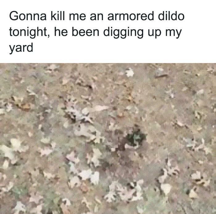armored dildo - Gonna kill me an armored dildo tonight, he been digging up my yard
