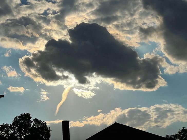 “Nature imitating the lightning emoji”