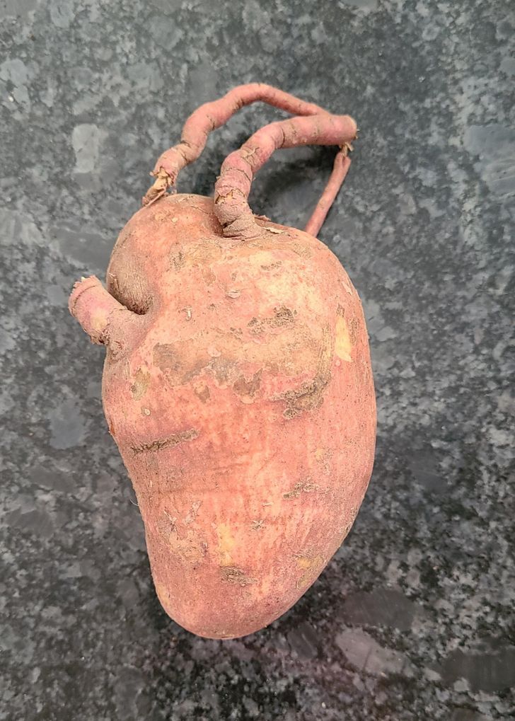 “This sweet potato that looks like a human heart”