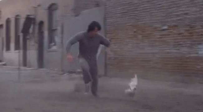Woman in an immaculate business suit chasing a chicken down the street.