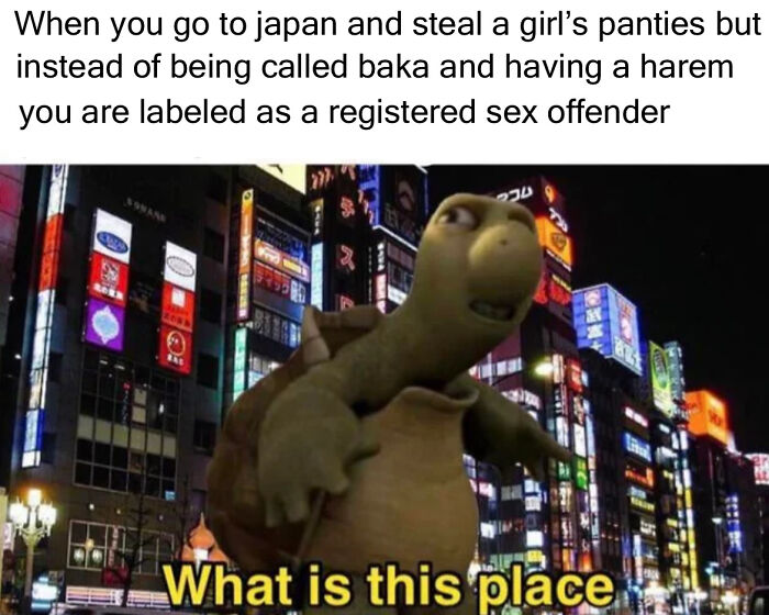 you go to japan and there's no subtitles - When you go to japan and steal a girl's panties but instead of being called baka and having a harem you are labeled as a registered sex offender . Be What is this place