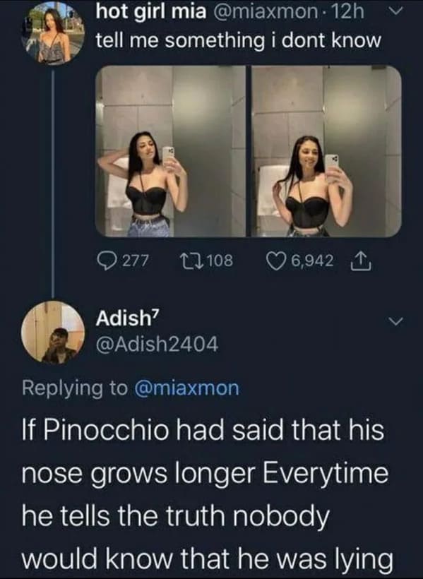 technically true - hot girl mia . 12h tell me something i dont know 277 27 108 6,942 1 Adish? If Pinocchio had said that his nose grows longer Everytime he tells the truth nobody would know that he was lying