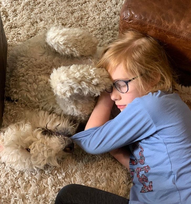 “My dog matches my rug.”