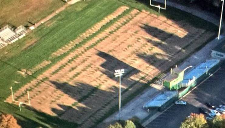 A groundskeeper accidentally sprayed weed killer instead of fertilizer on a school’s football field.