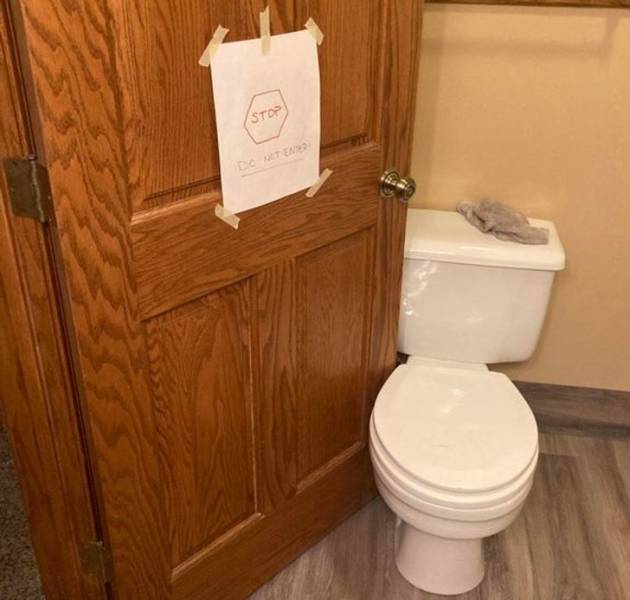 “My dad helped put in a new toilet at his office today.”