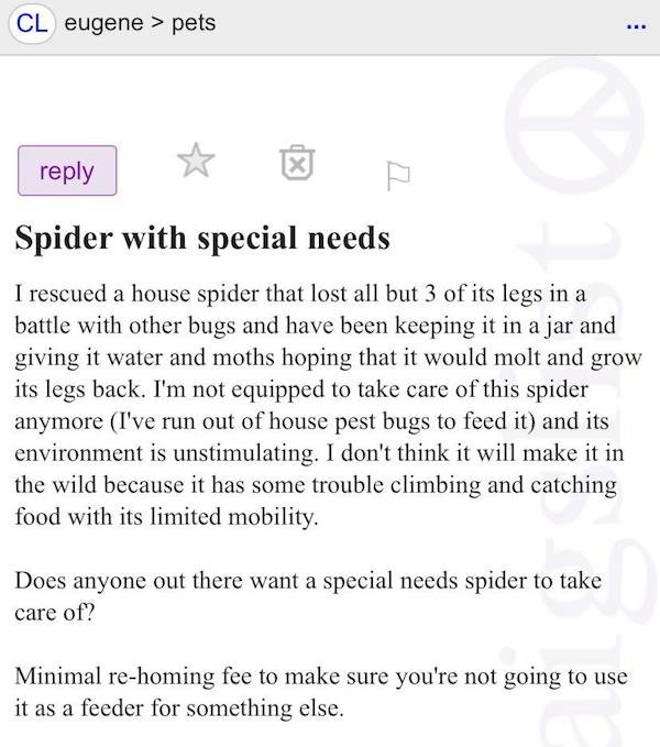 paper - Cl eugene > pets Re X Spider with special needs I rescued a house spider that lost all but 3 of its legs in a battle with other bugs and have been keeping it in a jar and giving it water and moths hoping that it would molt and grow its legs back. 