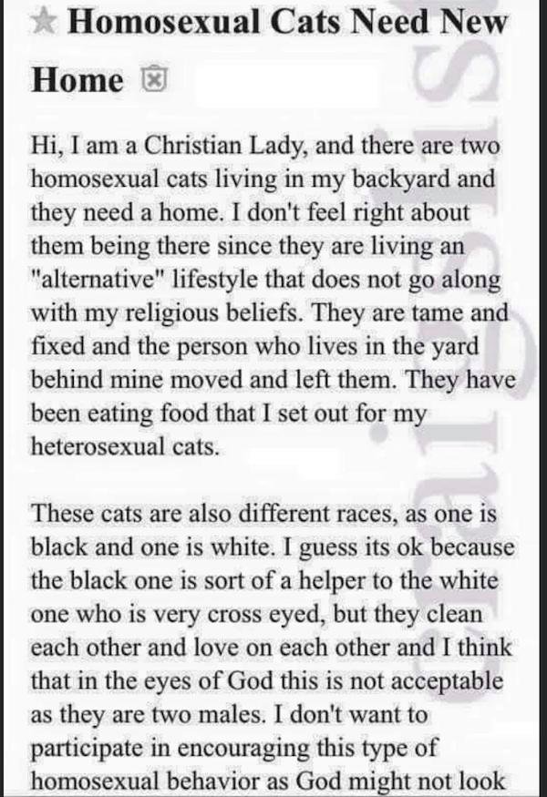 paper - Homosexual Cats Need New Home Hi, I am a Christian Lady, and there are two homosexual cats living in my backyard and they need a home. I don't feel right about them being there since they are living an "alternative" lifestyle that does not go alon