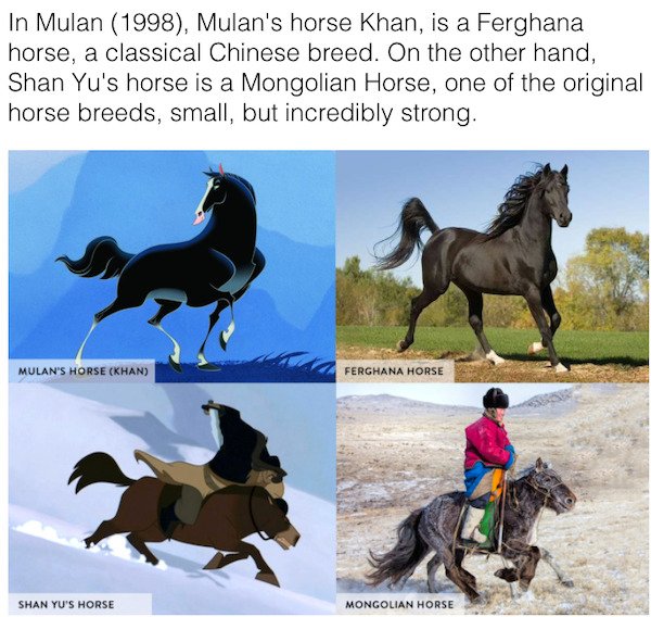 chinese horse breeds - In Mulan 1998, Mulan's horse Khan, is a Ferghana horse, a classical Chinese breed. On the other hand, Shan Yu's horse is a Mongolian Horse, one of the original horse breeds, small, but incredibly strong. Mulan'S Horse Han Ferghana H