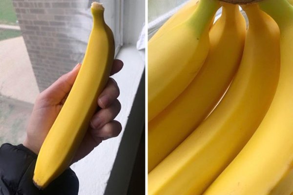 I bought some suspiciously perfect bananas yesterday.