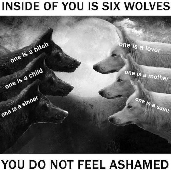 there are two wolves inside you - Inside Of You Is Six Wolves one is a lover one is a bitch one is a mother one is a child one is a saint one is a sinner You Do Not Feel Ashamed