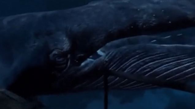 Most of us don’t truly understand just how deep and vast the oceans are. There could be colossal beasts deep beneath the waves that we have no idea about.