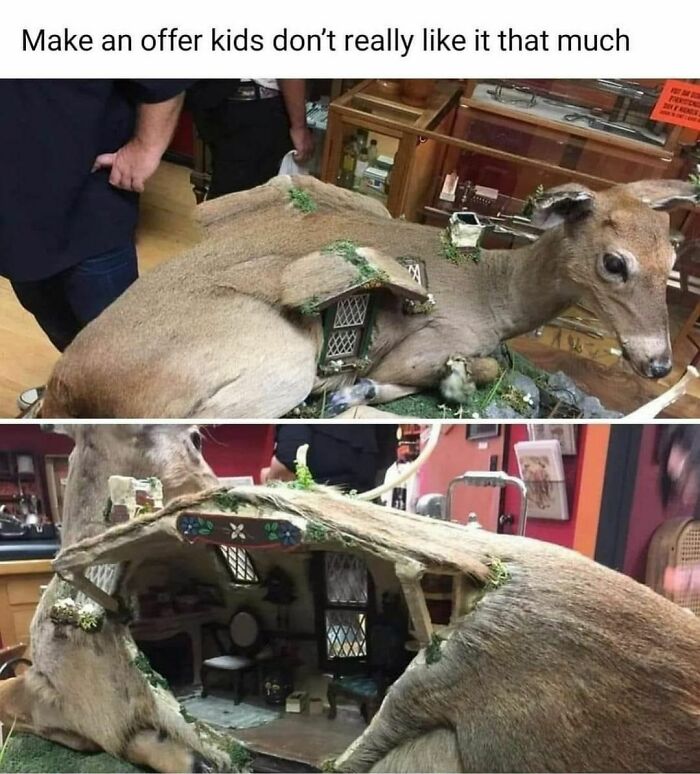 deer carcass dollhouse - Make an offer kids don't really it that much