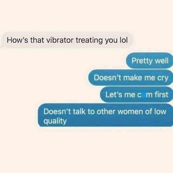 vibrator meme - How's that vibrator treating you lol Pretty well Doesn't make me cry Let's me c m first Doesn't talk to other women of low quality