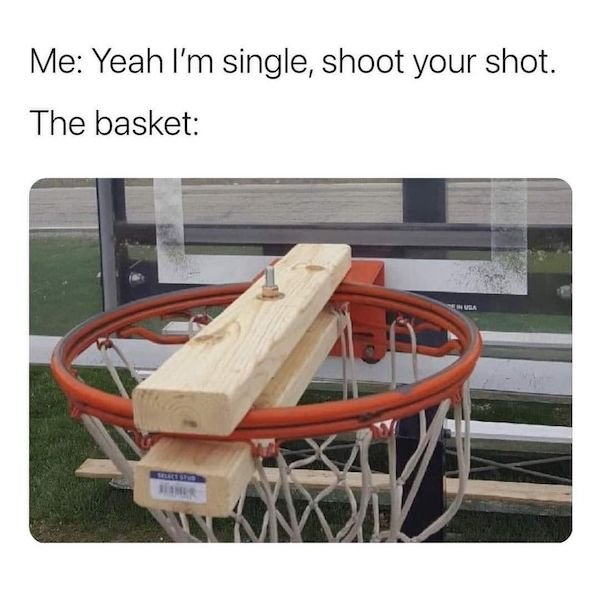 females shoot your shot the basket - Me Yeah I'm single, shoot your shot. The basket Va
