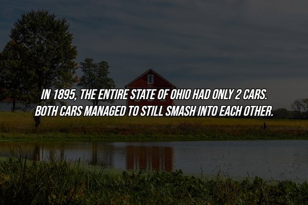 nature - In 1895, The Entire State Of Ohio Had Only 2 Cars. Both Cars Managed To Still Smash Into Each Other.
