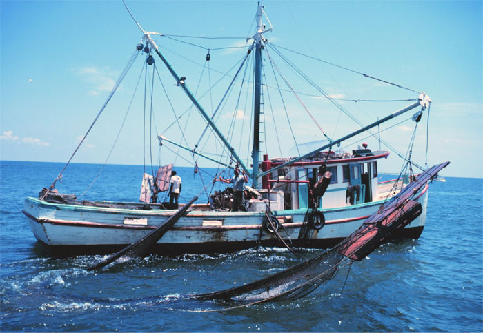 Seafloor trawling...It destroys the habitant of fish just so we can squeeze every bit of a fish from an area...