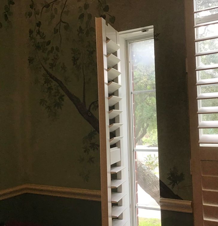 “Just noticed that the wall painting in my room lines up with an outside tree branch from a certain angle.”