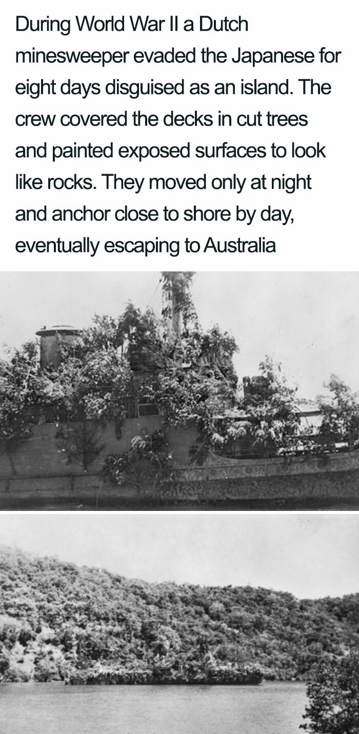 During World War Ii a Dutch minesweeper evaded the Japanese for eight days disguised as an island. The crew covered the decks in cut trees and painted exposed surfaces to look rocks. They moved only at night and anchor close to shore by day, eventually…