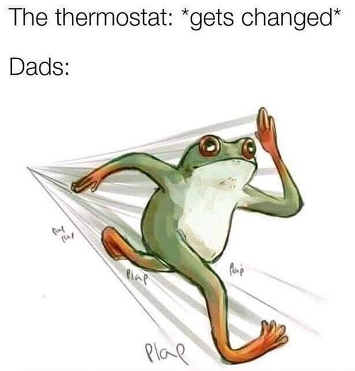 relatable memes - sprinting frog meme - The thermostat gets changed Dads ht Alap plap