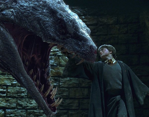 Plot Hole: If Harry Potter was a horcrux the entire time and basilisk venom is enough to destroy a horcrux, why wasn’t the horcrux inside of Harry destroyed when the basilisk bit him in Harry Potter and the Chamber of Secrets (2002)?

Explanation: It would have been enough to kill him/destroy the horcrux if Fawkes hadn’t been there. A horcrux has to be damaged beyond hope of magical repair. That means death if it’s a living thing, or some powerful magical damage for nonliving objects. It’s not like basilisk venom has any special ‘anti-horcrux’ properties. It’s just a substance that can damage most objects behind the point of magical repair, and Fawkes cured Harry before it could kill him.