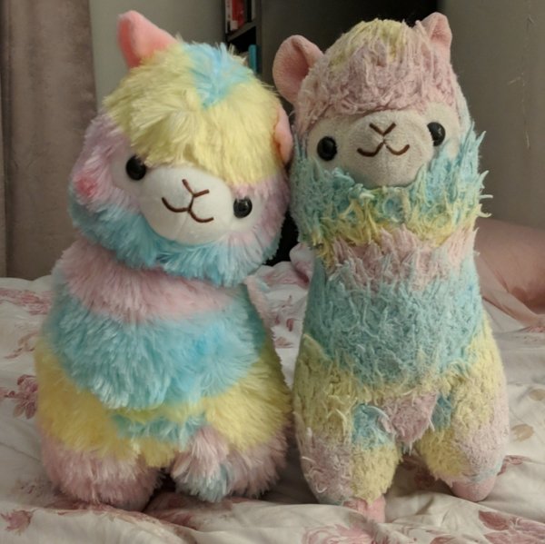 Boyfriend bought me a new alpaca (left) after I slept with the old one (right) every night for 6 years.