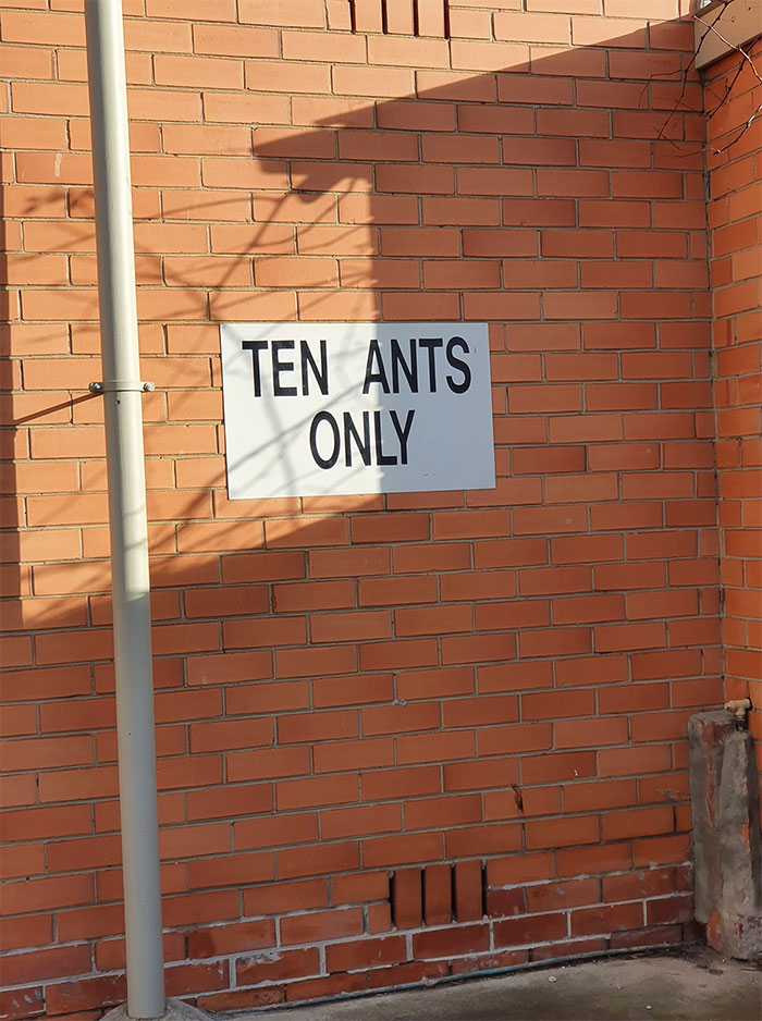 brickwork - Ten Ants Only