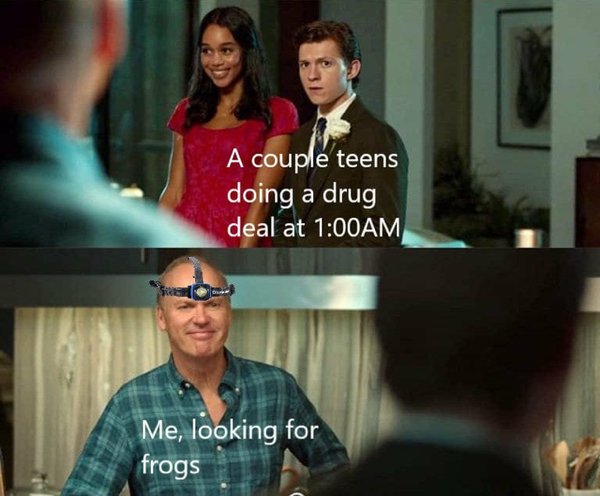 spiderman homecoming meme - A couple teens doing a drug deal at Am Me, looking for frogs