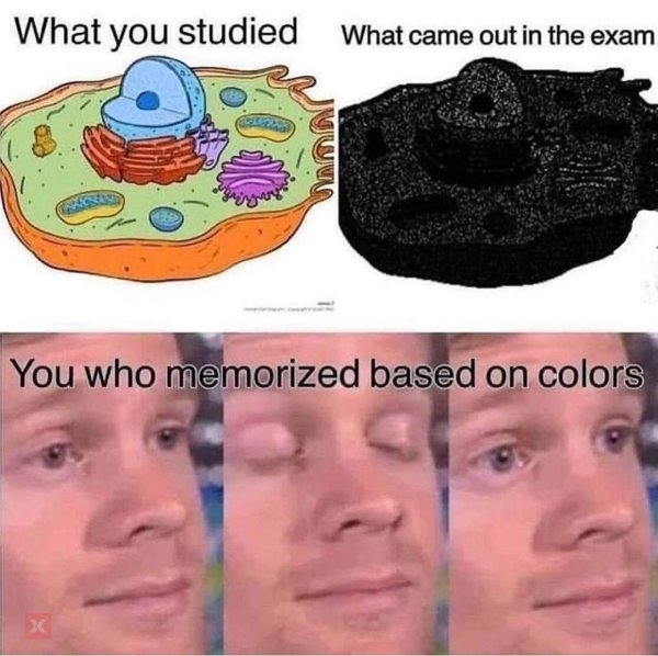 white guy blinking meme template - What you studied What came out in the exam You who memorized based on colors 31 31