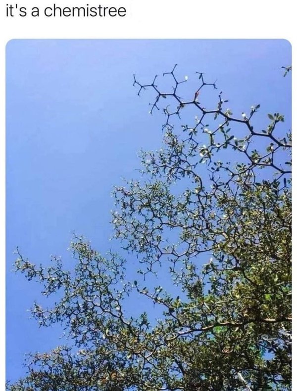 hexagonal patterns tree - it's a chemistree