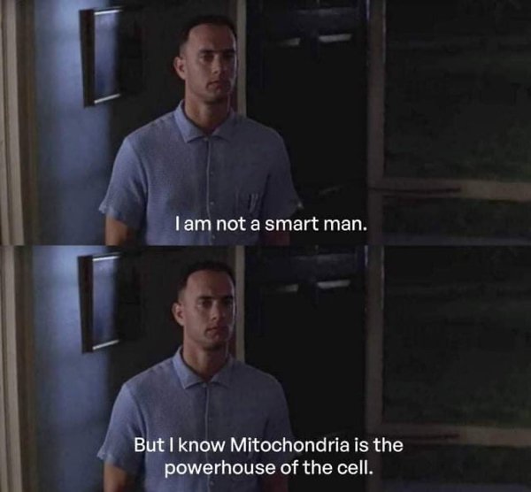 forrest gump i am not a smart man but i know what love is - I am not a smart man. But I know Mitochondria is the powerhouse of the cell.