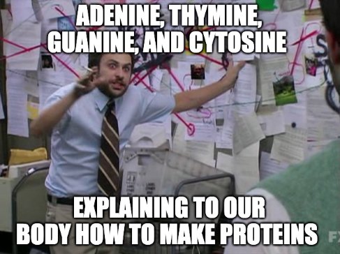 memes about misunderstandings - Adenine, Thymine, Guanine, And Cytosine Explaining To Our Body How To Make Proteins F