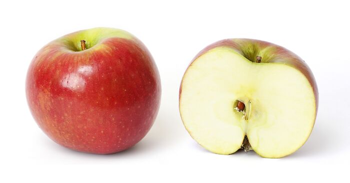 sundowner cross section apple