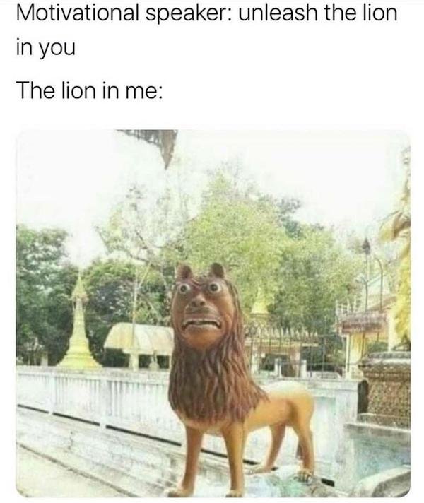 depressing memes - motivational speaker unleash the lion in you - Motivational speaker unleash the lion in you The lion in me