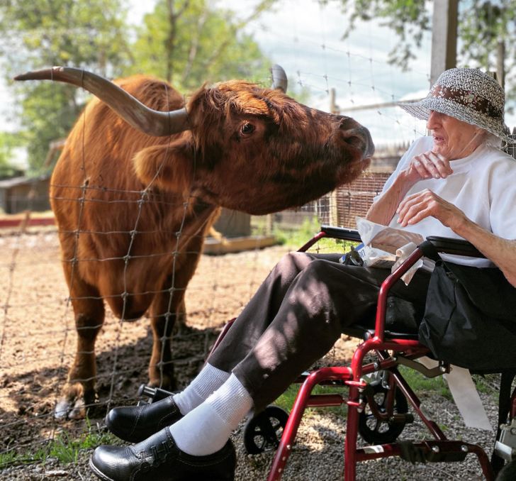 “I took my 96-year-old grandma to the petting zoo today. She made a new friend!”