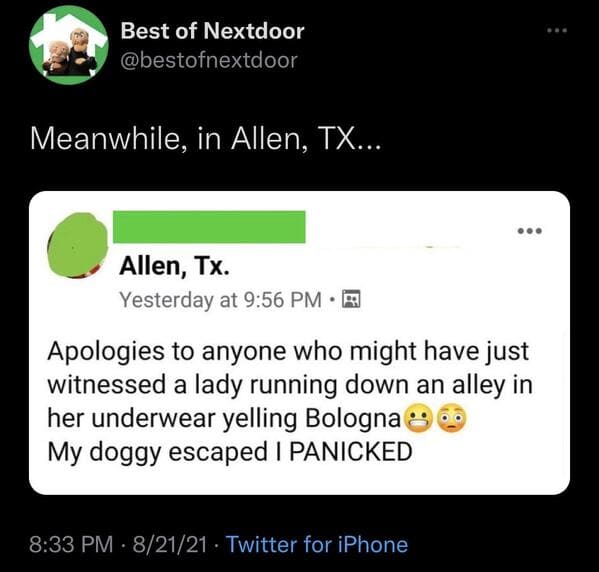 wtf nextdoor app posts - multimedia - Best of Nextdoor Meanwhile, in Allen, Tx... Allen, Tx. Yesterday at Apologies to anyone who might have just witnessed a lady running down an alley in her underwear yelling Bologna My doggy escaped I Panicked 82121 Twi