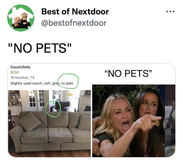 wtf nextdoor app posts - me masturbating while having a headache - ... Best of Nextdoor "No Pets" CouchSofa $250 Houston, Tx Slightly used couch, soft, grey, no pets "No Pets"