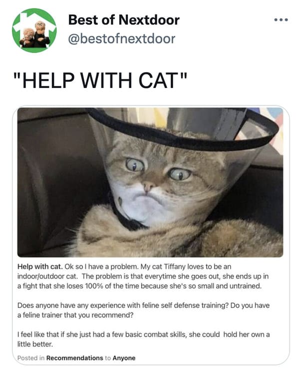 wtf nextdoor app posts - cat cone of shame - Best of Nextdoor "Help With Cat" Help with cat. Ok so I have a problem. My cat Tiffany loves to be an indooroutdoor cat. The problem is that everytime she goes out, she ends up in a fight that she loses 100% of