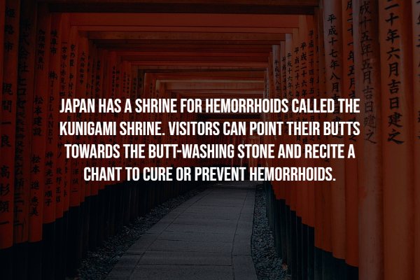 architecture - Japan Has A Shrine For Hemorrhoids Called The Kunigami Shrine. Visitors Can Point Their Butts Towards The ButtWashing Stone And Recite A Chant To Cure Or Prevent Hemorrhoids.
