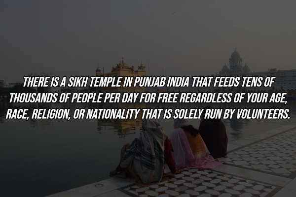 harmandir sahib - There Is A Sikh Temple In Punjab India That Feeds Tens Of Thousands Of People Per Day For Free Regardless Of Your Age, Race, Religion, Or Nationality That Is Solely Run By Volunteers.