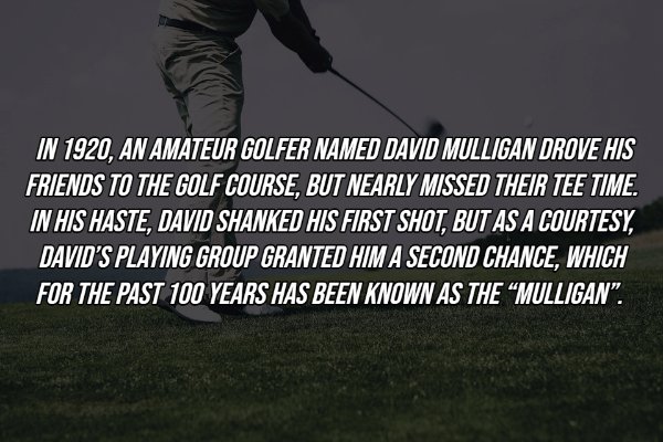 grass - In 1920, An Amateur Golfer Named David Mulligan Drove His Friends To The Golf Course, But Nearly Missed Their Tee Time. In His Haste, David Shanked His First Shot, But As A Courtesy, David'S Playing Group Granted Him A Second Chance, Which For The
