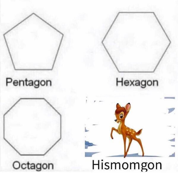 octagon hexagon meme - Pentagon Hexagon Octagon Hismomgon