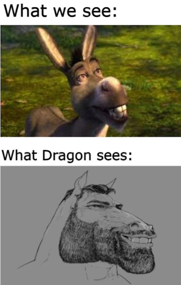 4k shrek donkey - What we see What Dragon sees