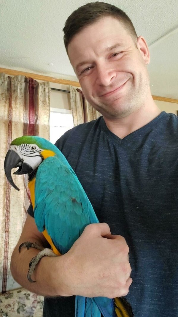 It took 3 months of being sweet and kind everyday to this 33 year old blue and gold macaw (his name is Taco), before he finally stepped onto my arm on his own. We think he was abused before. He’s happy now though!