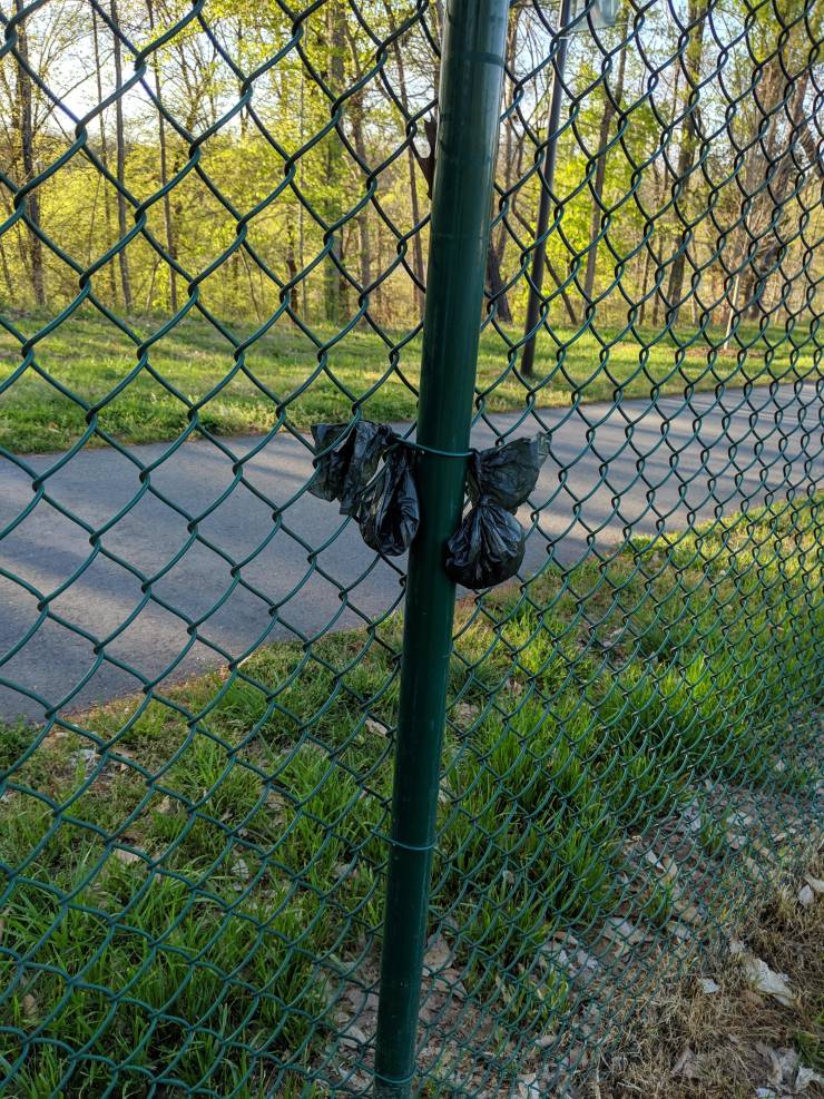 "People at the dog park I go to are too lazy to put their poop bags in the trash can so they hang them on the fence"