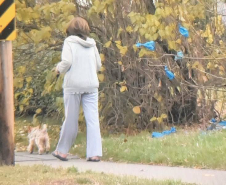 "Every day this lady walks her dog and throws its poop in the same tree."