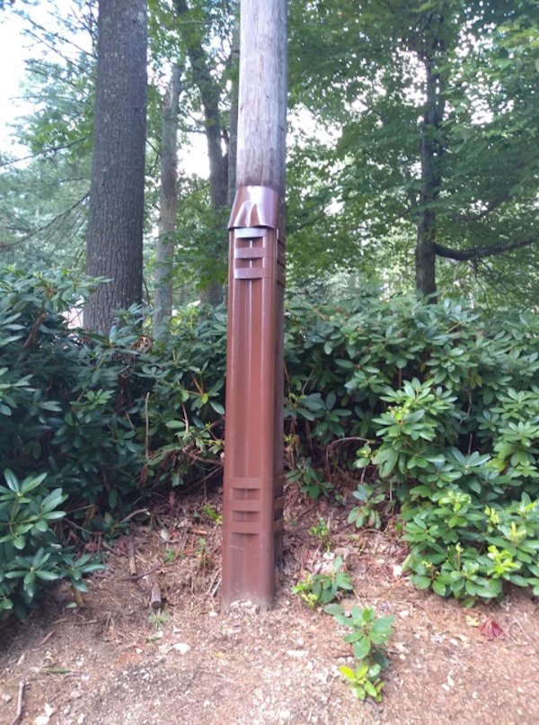 I started seeing these utility pole guards in Massachusetts. Many, but not all poles have them.

A: Most likely to protect them from beavers or porcupines.