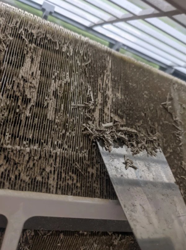 What is this stuff building up on my AC radiator fins. I can’t find what it is, but it doesn’t seem to be the metal itself corroding, and it is kinda like compressed cornstarch.

A: It is a smoker or lives downwind from the wildfires to have it look like that.