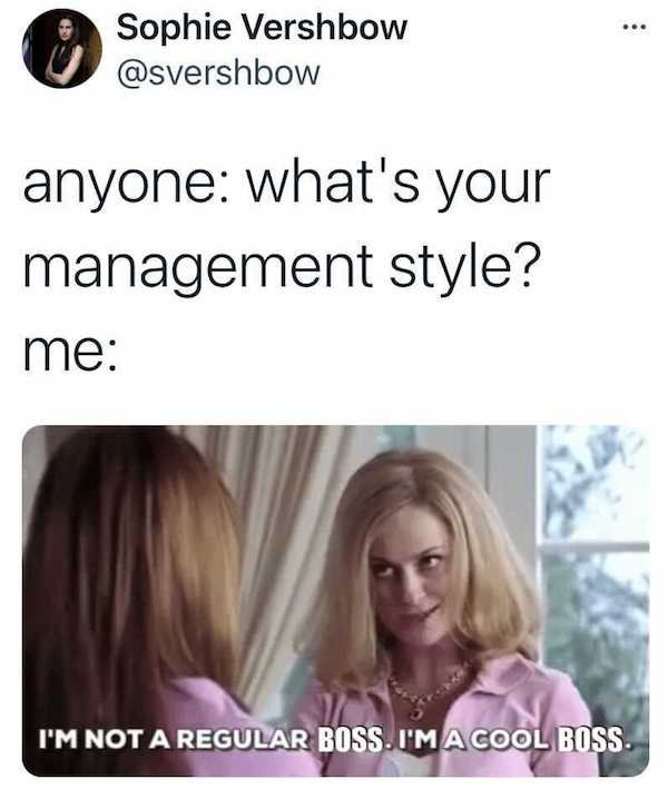 work memes - people who don t know how to spell - Sophie Vershbow anyone what's your management style? me I'M Not A Regular Boss. I'M A Cool Boss.
